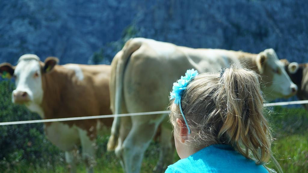 Ferienwohnungen Dzido Hermagor-Pressegger See Exterior foto